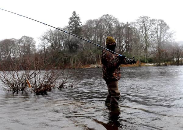 Salmon fishing season opens on the River Tay. Picture: Lisa Ferguson/TSPL