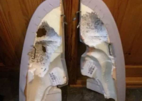 The rat ate through the car seat. Picture: The Newsletter/Johnston Press