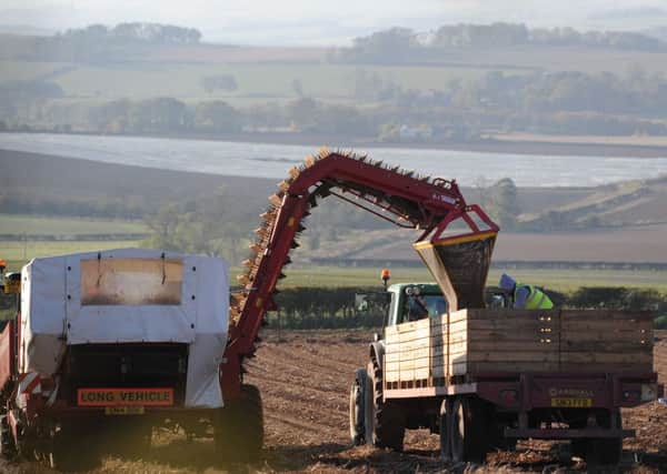 Dr Stuart Wale of SRUC said reducing time between potato crops would increase the risk of infestations. Picture: Kimberley Powell