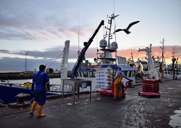 Trawler men unload their catch at Peterhead fish market.. Picture: Jeff J Mitchell/Getty Images