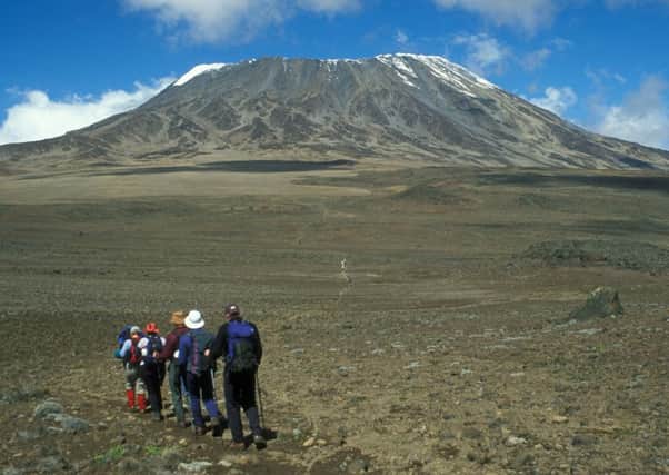 Jane Bradley found that brain scanning equipment reckoned her ideal holiday would be a hike up Mount Kilimanjaro.