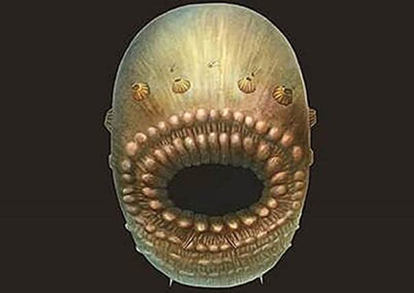 Saccoryhtus, the earliest human ancestor. Picture: PA