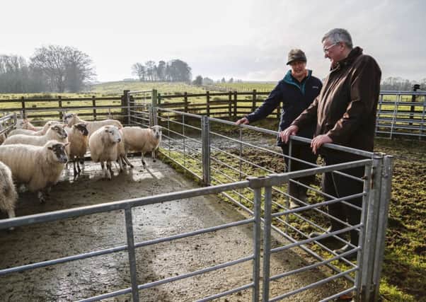 Rural economy secretary Fergus Ewing chats to Janet Beveridge at her Gartlea farm near Gartocharn. Picture: Contributed