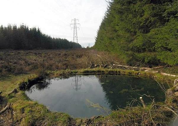 Torwood Blue Pool is located north of Denny near Falkirk. Picture: Copyright Nigel Turnbull