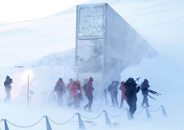Genetic material from Scottish seed potatoes will be stored at the Global Seed Vault on the Svalbard archipelago. Picture: Hakon Mosvold Larsen/AFP/Getty Images