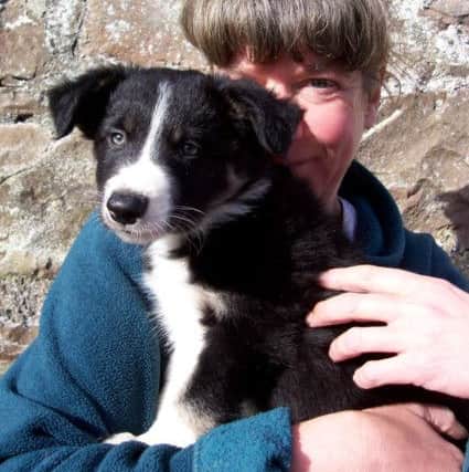 Anne with her Collie PIC: Cholawo family.