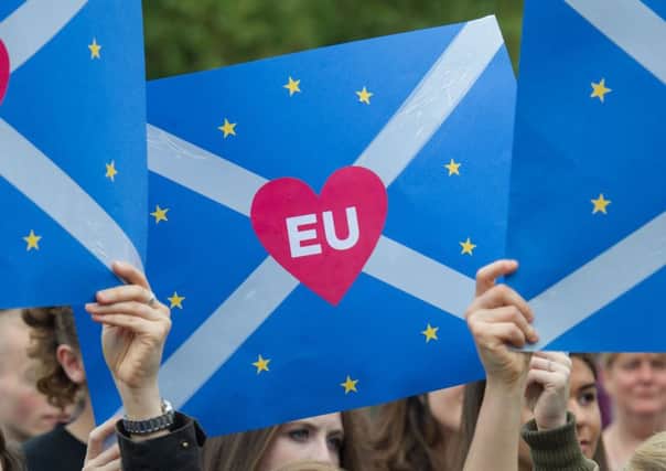 Support for a second independence referendum while Brexit negotitations continue has slipped. Picture: Steven Scott Taylor / JP License