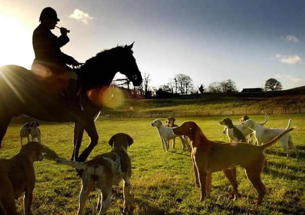 The use of dogs during hunts as a means of flushing out foxes so they can be shot is a legal minefield in Scotland. Picture: PA