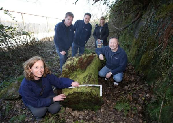Tree expert Coralie Mills, Sean Donnelly, Stuart Duncan, Mags Halliday and Cha Halliday with the William Wallace tree. Picture: Centre Press