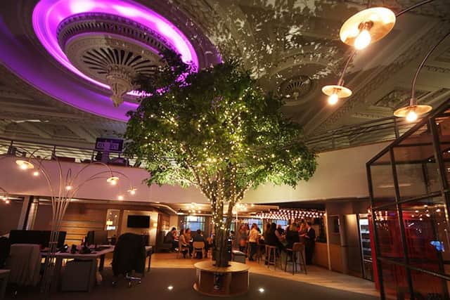 An oak tree takes centre stage in Itison's new Glasgow office. Picture: Contributed