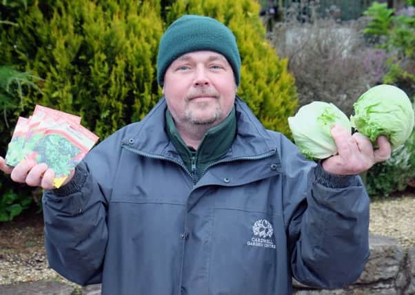 Cardwell Garden Centres gardening expert Brian Hawthorne has seen lettuce seed sales soar. Picture: PA