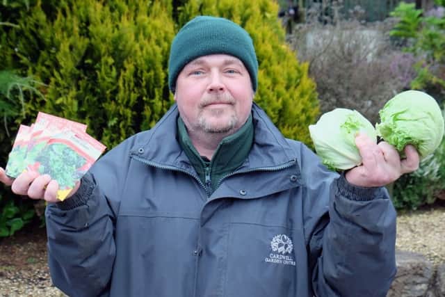 Cardwell Garden Centres gardening expert Brian Hawthorne has seen lettuce seed sales soar. Picture: PA