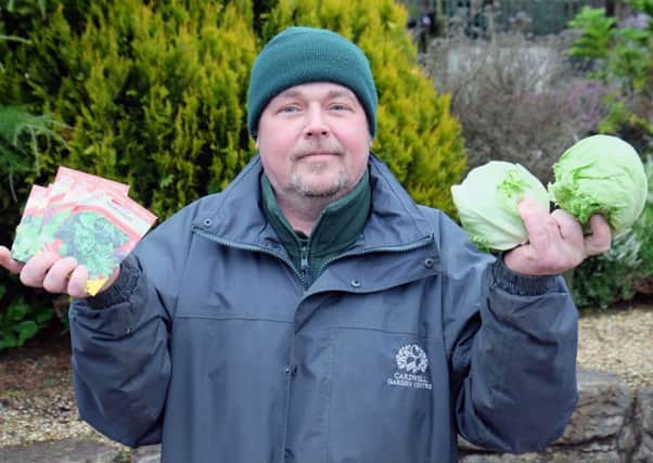 Cardwell Garden Centre's Brian Hawthorne says lettuce seeds are in high demand as consumers start to grow their own lettuce after bad weather across Europe caused a shortage in supplies of some produce.