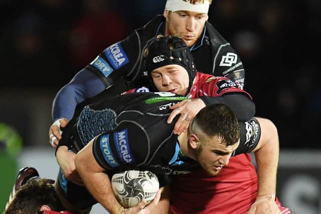 Glasgow Warriors' Adam Ashe tries to find a way through the Scarlets defence. Picture: Bill Murray/SNS/SRU