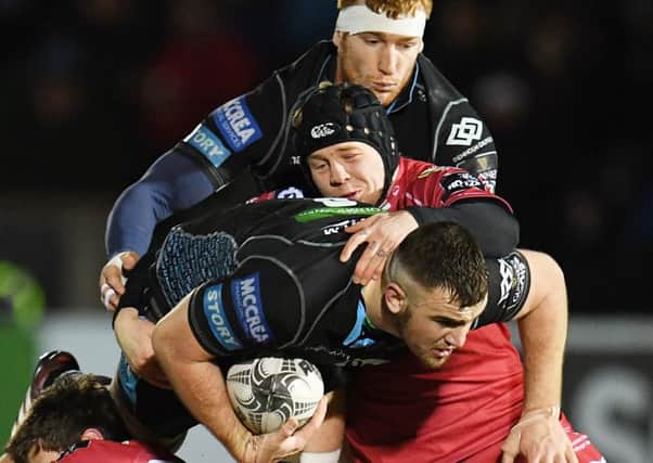 Glasgow Warriors' Adam Ashe tries to find a way through the Scarlets defence. Picture: Bill Murray/SNS/SRU