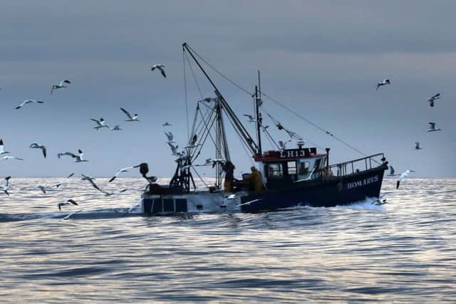 There could soon be a shortage of fish in the UK Picture; PA