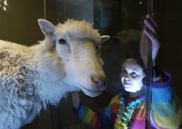 Political uncertainty mustn't dampen the pioneering spirit that created Dolly the cloned sheep, argues Luke Thurman. Picture: Julie Bull