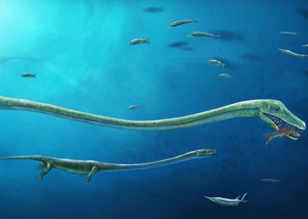 Dinocephalosaurus gave birth to live babies, a newly found fossil suggests. Picture: Dinghua Yang/Hefei University of Technology/PA Wire