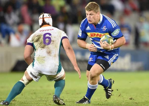 New Glasgow signing Oliver Kebble in action for the Stormers during a Super Rugby match against Toyota Cheetahs. Picture: Johan Pretorius/Gallo Images/Getty Images