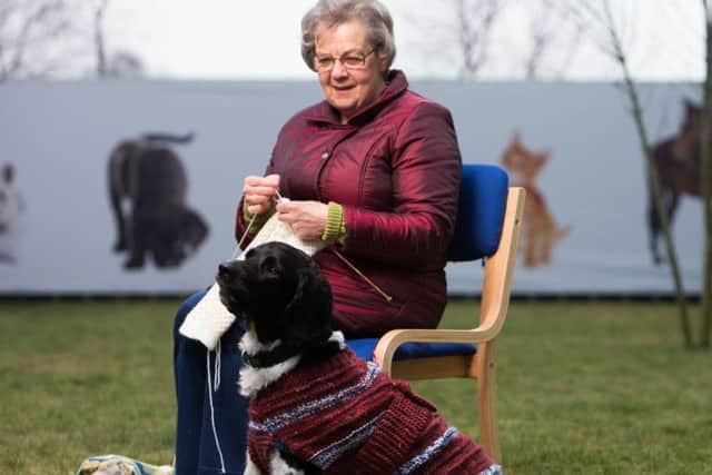 SWI knitter Winnie Anderson works on a dog jacket to help banish Black Dog Syndrome. Picture: Contributed