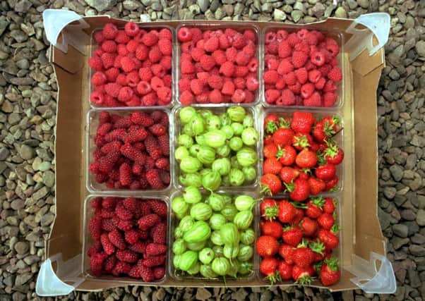 Researchers say new varieties could be developed for specific health benefits. Picture: Bill Henry