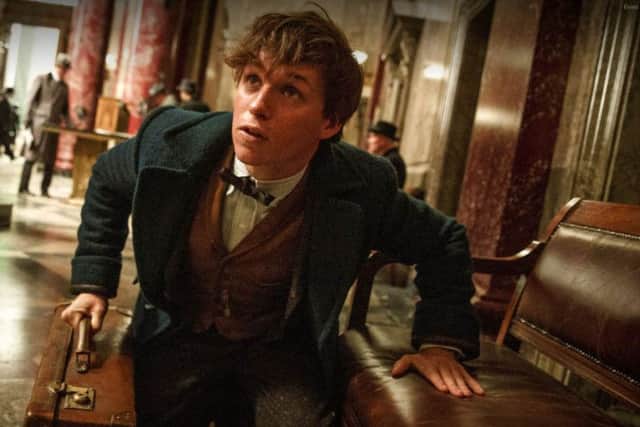 DI4D worked on the Fantastic Beasts and Where to Find Them movie. Picture: Warner Bros