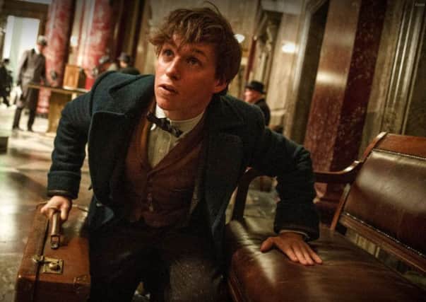 DI4D worked on the Fantastic Beasts and Where to Find Them movie. Picture: Warner Bros