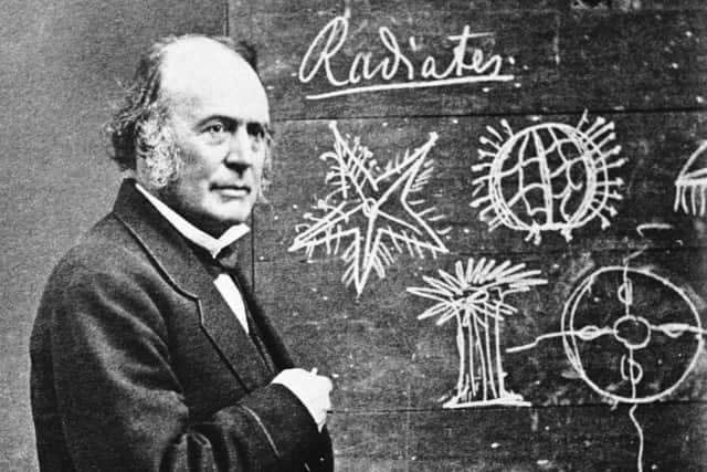 Swiss naturalist Louis Agassiz, who discovered the ancient existence of glaciers in Scotland. Picture: Getty Images