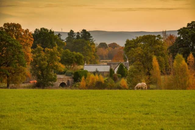 The views across the fields to the house in autumn