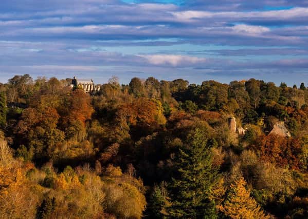 Roslin Glen in autumn with chapel visible (left). Picture: Tom Duffin/WeePhotos