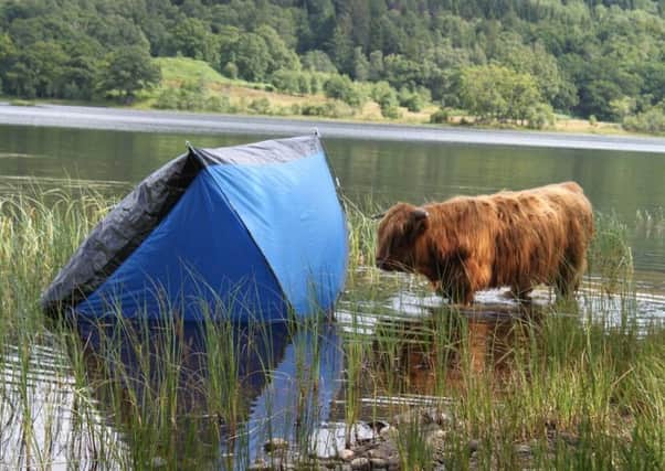 The by-laws are intended to cut down on wild camping which authorities claim leads to problems. Picture: Contributed
