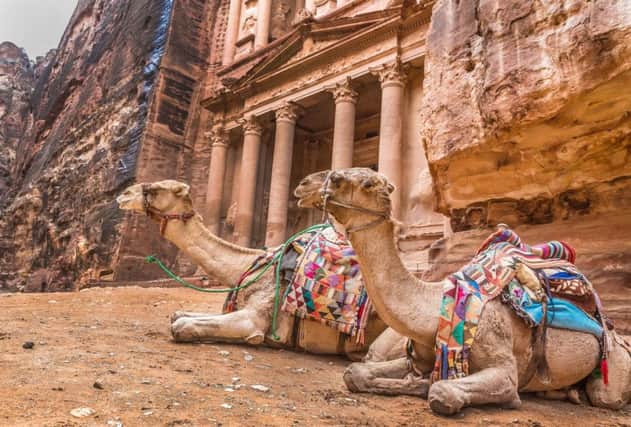 Two bedouin camels rests near the treasury Al Khazneh carved into the rock at Petra, Jordan. Petra is one the New Seven Wonders of the World