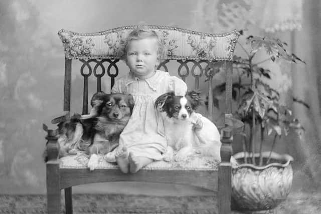 A portrait of baby McKay and the two family dogs - September 1914. PIC Johnston Collection, Wick/BBC Scotland.