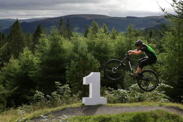 Mountain biker Alan Hunter rides high on the 7stanes bike trails at Glentress Forest
