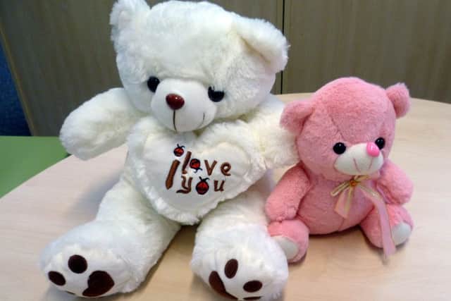 The child's parents placed one of the cuddly toys they had purchased from the internet in her crib. Picture: SWNS