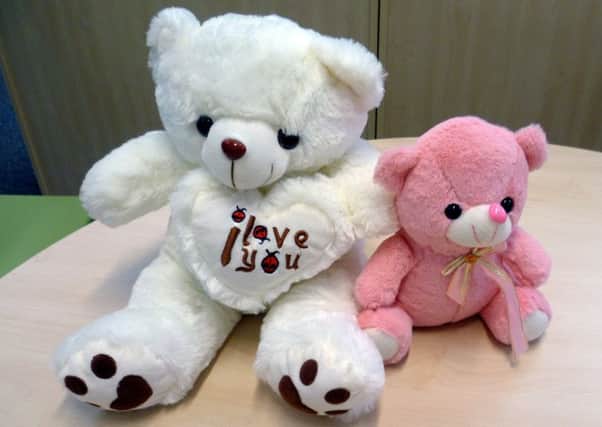 The child's parents placed one of the cuddly toys they had purchased from the internet in her crib. Picture: SWNS
