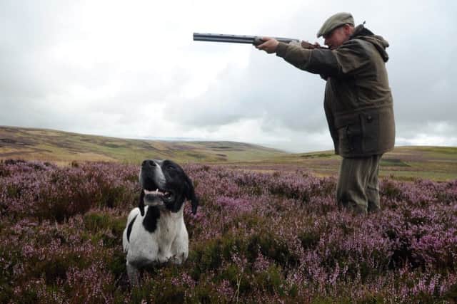 GLORIOUS 12TH PREVIEW PHOTOCALL , GROUSE SHOOTING Horseupcleugh, Berwickshire.   ESTATE OWNED BY Robbie Douglas Miller FORMERLY OF JENNERS.     Ian Elliot - Grouse Keeper at Horseupcleugh , pictured with a gun and pointing dogs , on the grouse shoot.  posing with a gun.       PHOTO PHIL WILKINSON / TSPL
