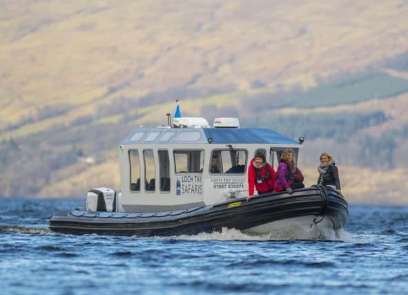 Loch Tay safari cruises to begin in April. Picture: Phil Wilkinson/Contributed