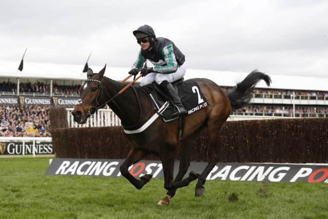 Altior ridden by Nico de Boinville pulls away from the last fence before going on to win the Arkle Challenge Trophy Novices' Steeple Chase Race. Picture: PA