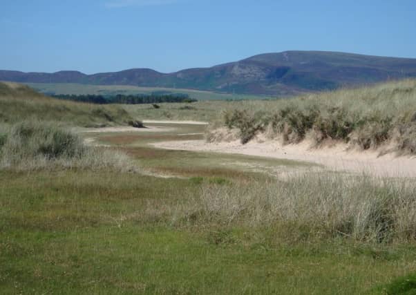 The Caryocolum blandelloides moth is threatened by the development of Coul Links golf course say campaigners. Picture: Contributed