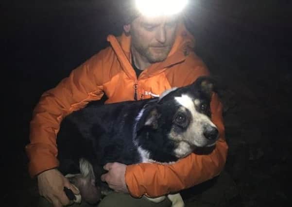 Nell was coaxed to safety by a recuer with a doggie biscuit (photo: Lochaber Mountain Rescue Team)