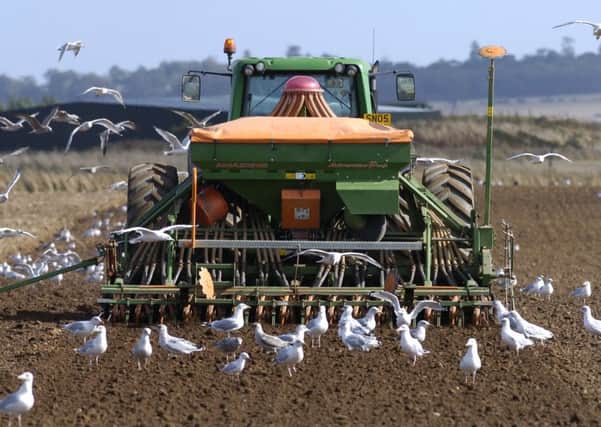 Farmers are ploughing on despite a complete lack of information. Picture: Neil Hanna