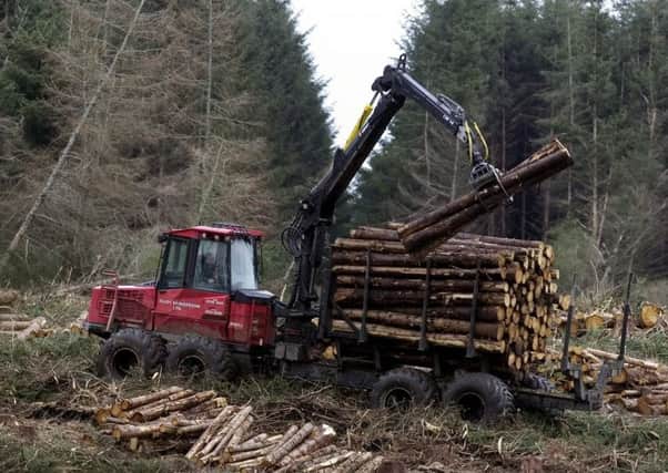 Forestry is now an active choice for many farmers. Picture: Neil Hanna