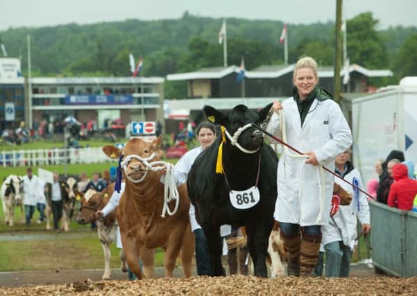Income for last year's HIghland Show was up sharply on 2015. Picture: Toby Williams
