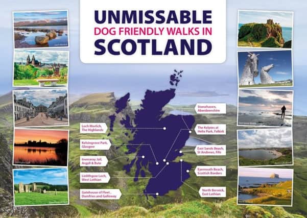 The 10 best dog walks in Scotland. Picture: Contributed