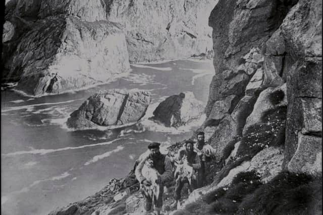 Hunting fulmars on St Kilda. PIC: Contributed.