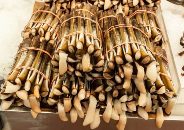 Razor clams can make Â£10 a kilo in the Far East where they are seen as a delicacy. Picture: Getty Images/iStockphoto