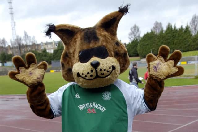 Sunshine the Leith Lynx is now Sunshine the Par. Pic: TSPL