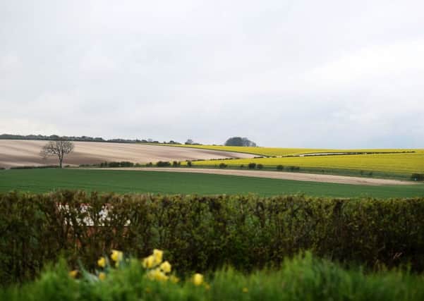Being freed from having to decide land use policy by the European Union's Common Agricultual Policy will open up opportunities for improvement. Picture: Bethany Clarke/Getty Images