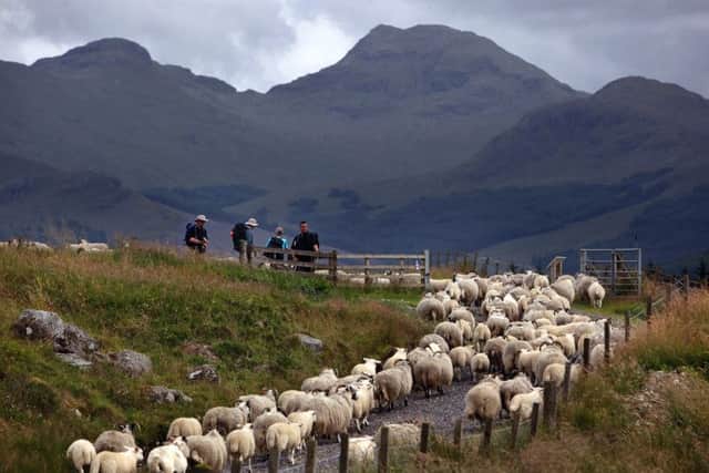 West Highland Way. Picture: Getty Images